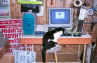 Squeegee the shop mascot plays with PowerMac G3. File name = cat001.jpg (267159 bytes)